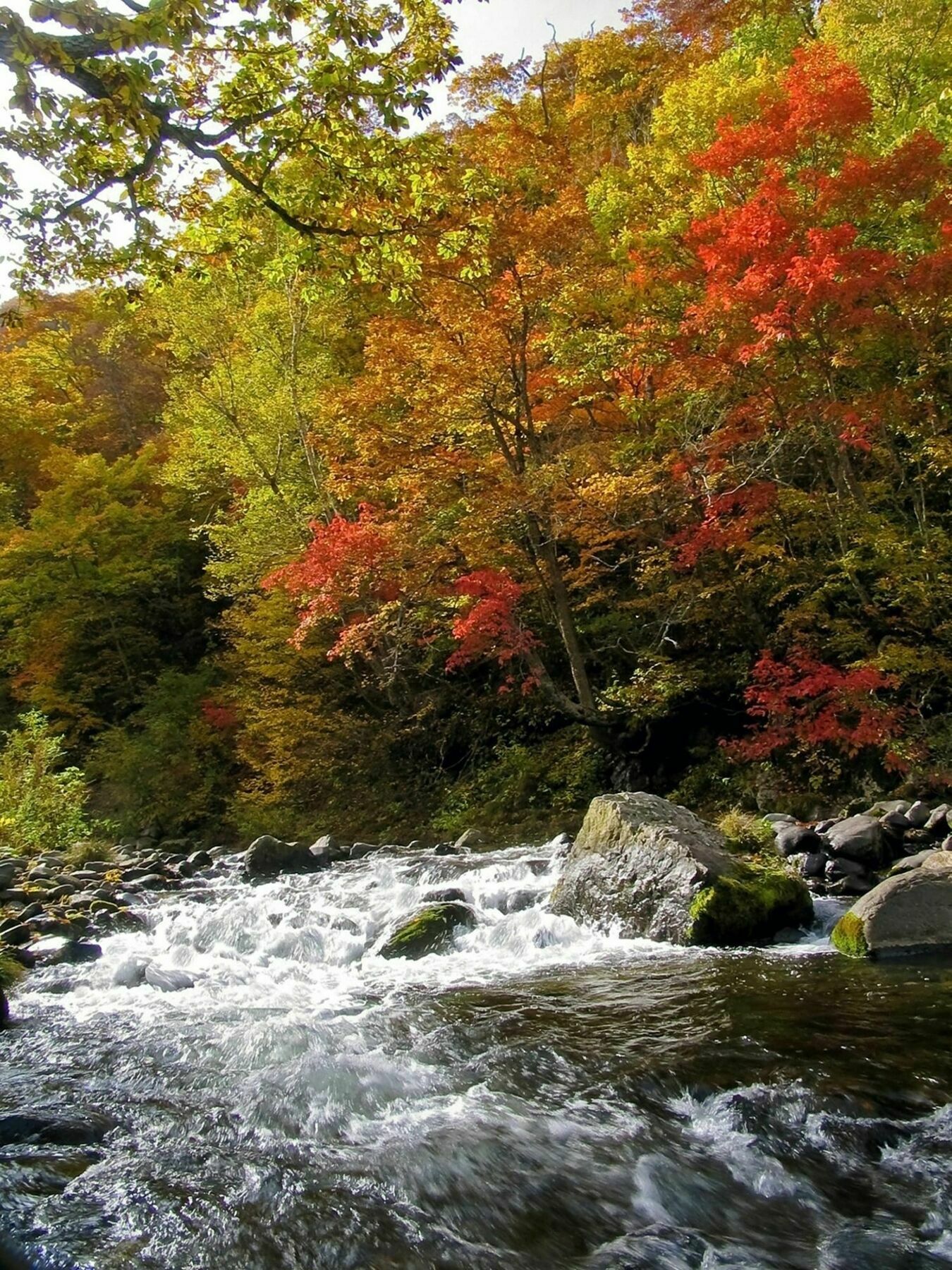 Kidoike Onsen Hotel Jamanouči Exteriér fotografie
